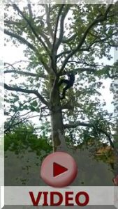 Szabad mászás - Hajnal Efraim Gábor - Petrencs Krisztina felvétele